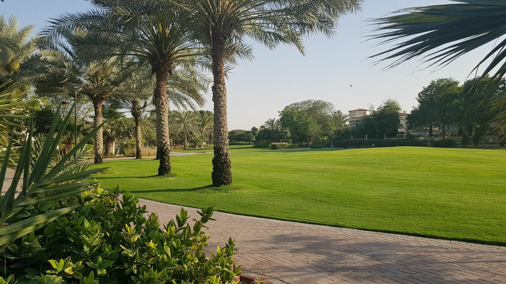 Luxury 750M2 Resort - The Blue Villa Dubai Dış mekan fotoğraf